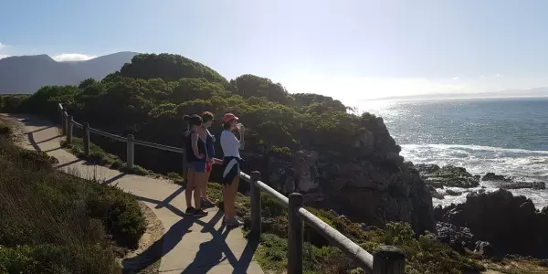 Hermanus