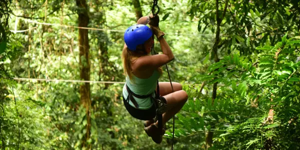 Zipline