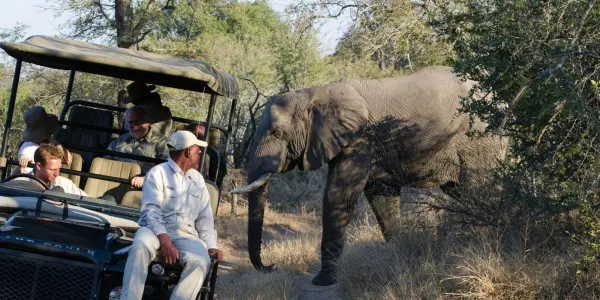 Op safari