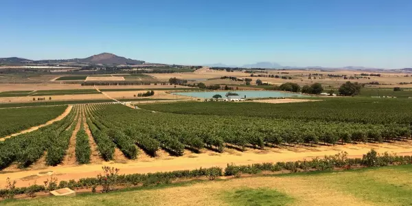 Stellenbosch
