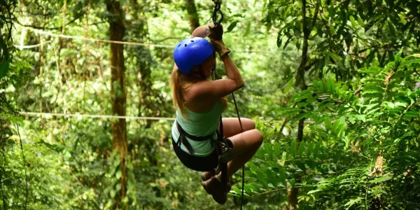 Ziplinetour door de boomtoppen van Tsitsikamma